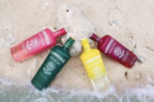Vibrant Gin bottles featuring high-quality screen printing on glass bottles for premium spirits branding.
